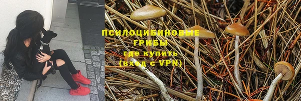 дурь Костерёво